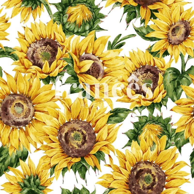 GIRASOLES 24910