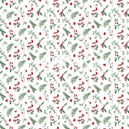 FRUTOS NAVIDAD