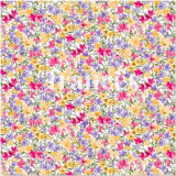 MARTA PINK HULE PVC