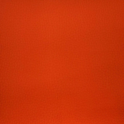 ECOPIEL ORANGE