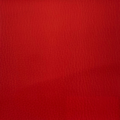 ECOPIEL RED