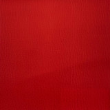 ECOPIEL RED