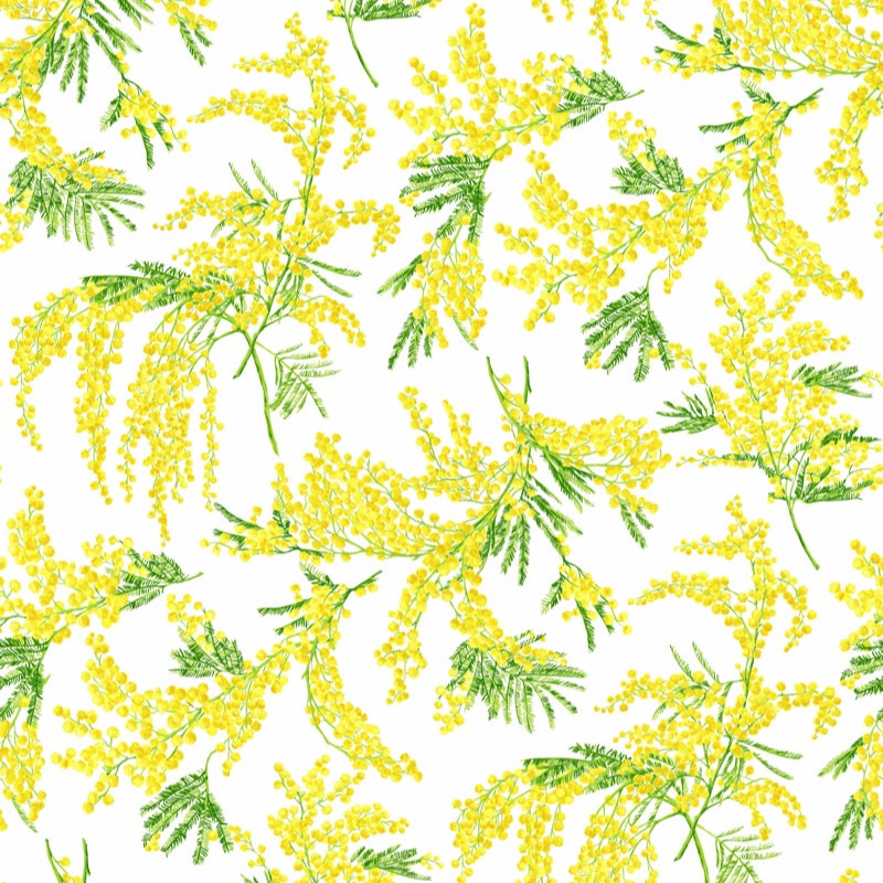 MIMOSA UNICO  TEFLON