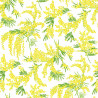 MIMOSA UNICO  TEFLON