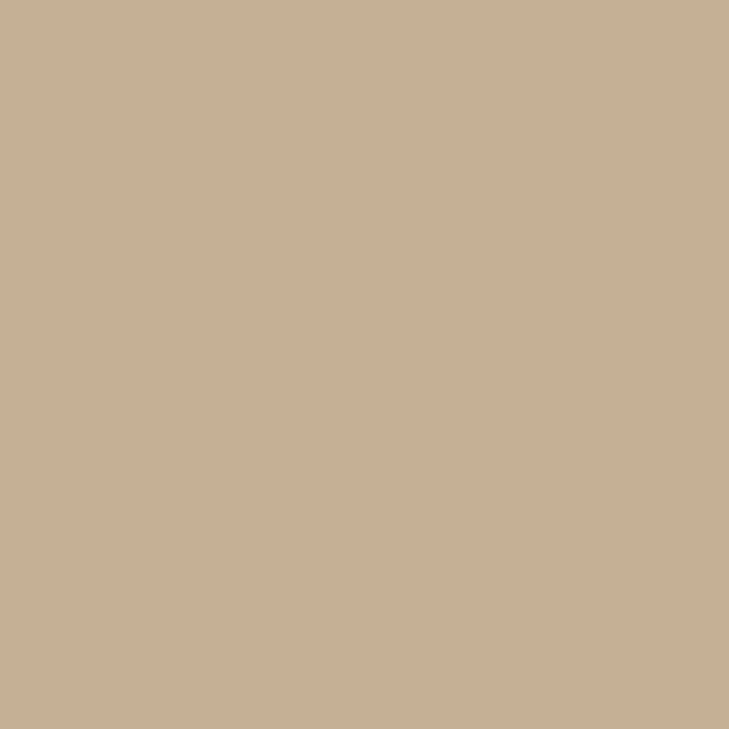 ALMOND 207 TEFLON