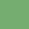 208 COLOR MENTA