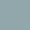 204 COLOR SILVER