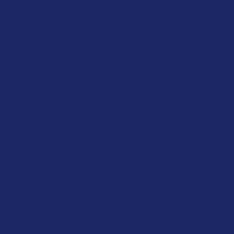 218 COLOR INDIGO