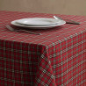 TEFLON ESCOCES MINI